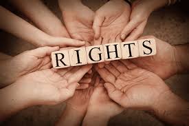 The Role of Legal Teams in Upholding Human Rights