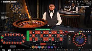 The Thrill of Roulette A Comprehensive Guide to the Game in India